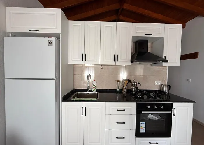 Stone House Carissa - Kizlan Apartment Datca